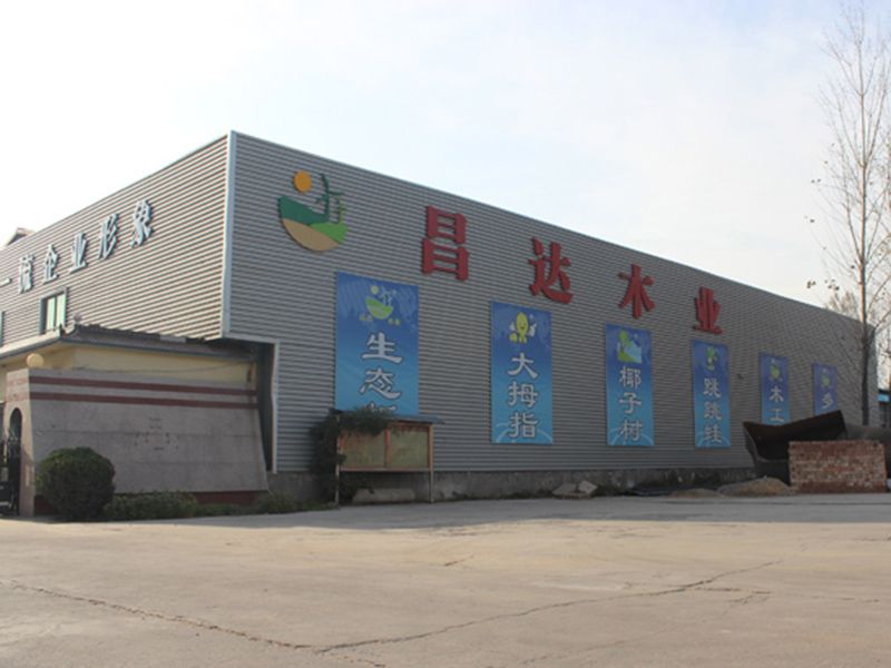 企業(yè)風(fēng)采